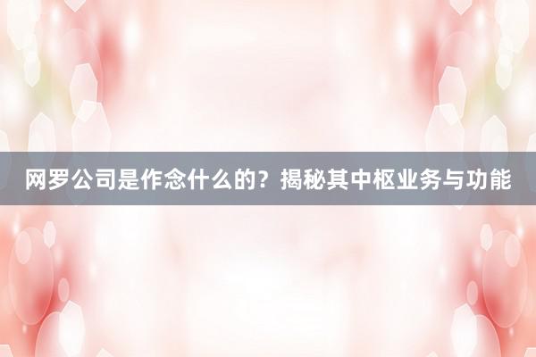 网罗公司是作念什么的？揭秘其中枢业务与功能