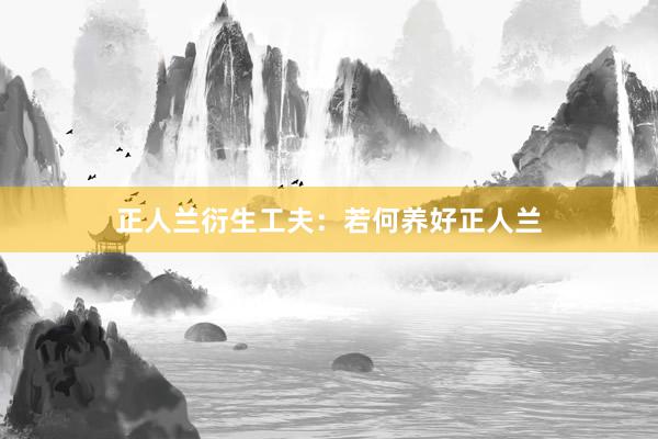 正人兰衍生工夫：若何养好正人兰