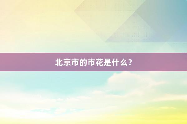 北京市的市花是什么？
