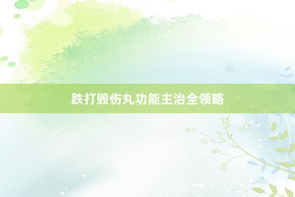 跌打毁伤丸功能主治全领略